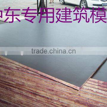 wbp film faced plywood (hardwood)12.15.18mm