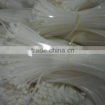 supply plastic zip ties/nylon cable ties 8*500