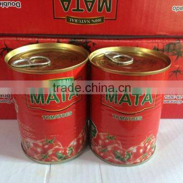Tomato Paste 22/24 Concentration