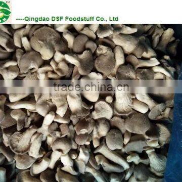 Market Prices for Mushroom photo-5