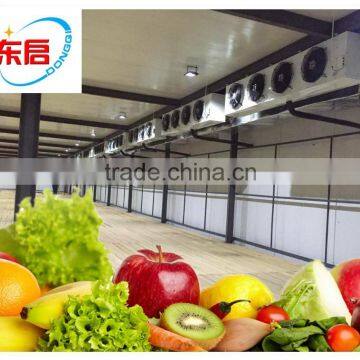 warehouse modular prefabricated food milk flower onion potato fruit and vegetables cold storage