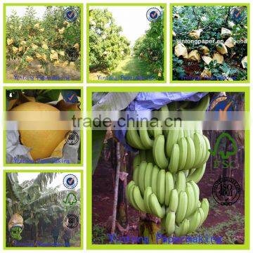 fruit growing bag banana bag