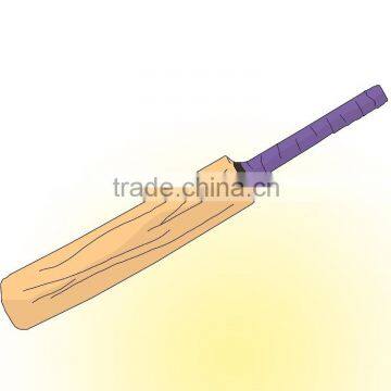 Willow Cricket bat