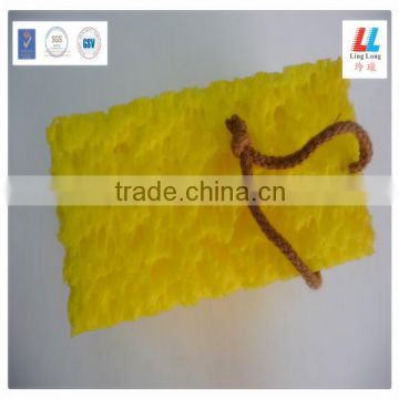 Coral sponge for cleaning sponge