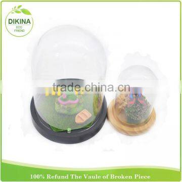 Bulk Buy From China Butterfly , Tillandsia Plants , Miniature Fairy Garden in 30cm Dome Clear Figurine Display Glass Cloche photo-3