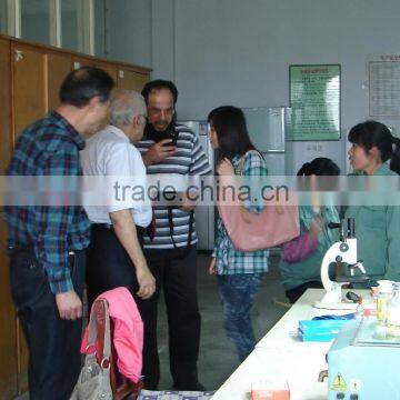Blood Counting Chamber