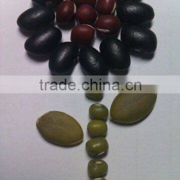 Black Kidney Bean ( 2010 crop, Heilongjiang Origin,HP)