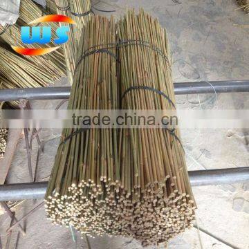 bambu for plantation 75cm X 8-10mm