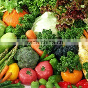 Fresh vegetables exporter from India