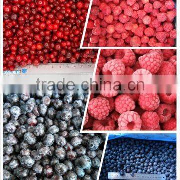 Frozen Raspberry