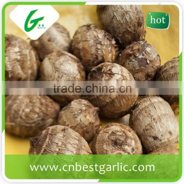 Organic fiji purple taro at cheap price