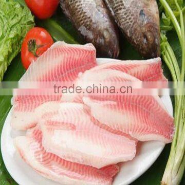 Chine orignal frozen tilapia fillet price