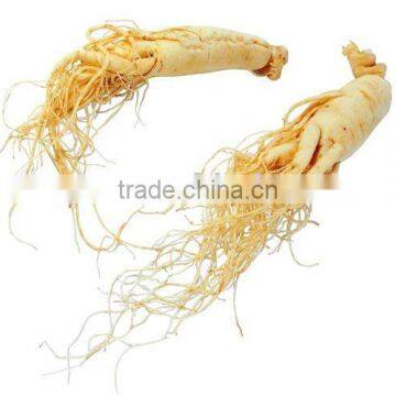 Ginseng Extract for Cosmetics