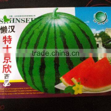 Early maturity anti-crack good commodity super jingxin melon seeds