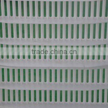 poultry slats