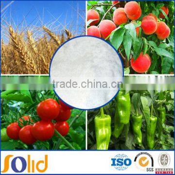 water soluble fertilzer supplier