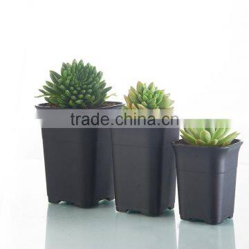 Home Decor Mini Succulent Plants Square Black Plastic Flower Pots