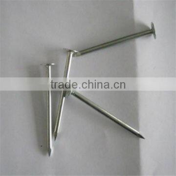 Galvanized Roofing Nai /roofing Nail With Umbrella Head photo-5