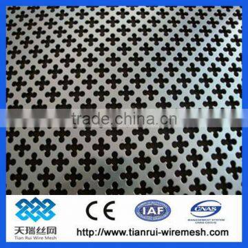 Punching Hole Mesh/Perforated Mesh/Perforated Metal Mesh/Galvanized/Perforated Mesh