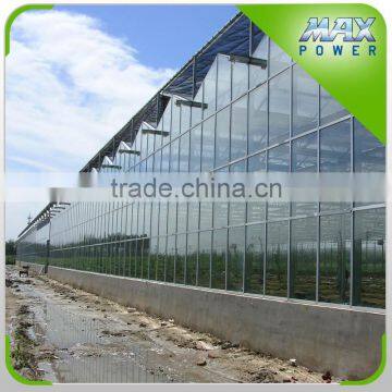 High Quality Venlo Steel Glass Greenhouse photo-3