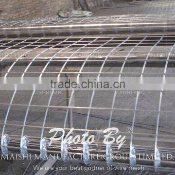 Green Coated Welded Wire Mesh photo-5