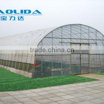 cheap vegetables tunnel greenhouse baolida tunnel green house