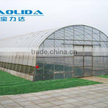 Factory Price Plastic Angricultural Greenhouses For Sale photo-4