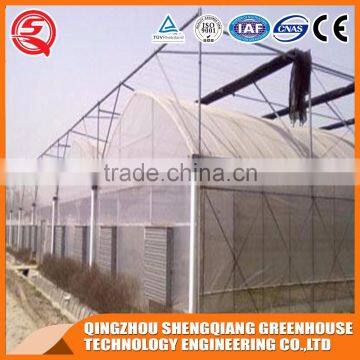 China Direct Plastic Greenhouse for Plant Tomato and Flowers photo-6