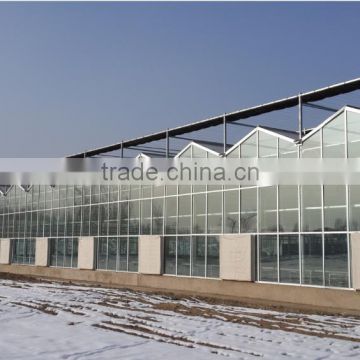 Commercial glass greenhouse for sale