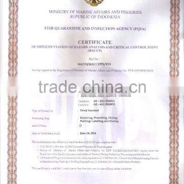 Eucheuma Spinosum photo-6