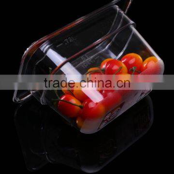 Plastic pc 1/6 Size gn Food Container/gastronormic Food Pan photo-6