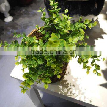 China Best Sell Wholesale Artificial Plant for Indoor Decoration photo-3