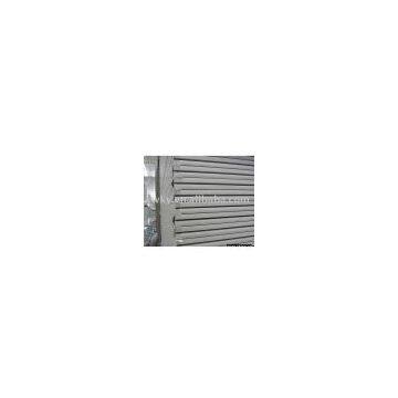 Paper faced gypsum board