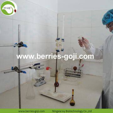 Factory Supply Dried Ningxia Goji photo-4