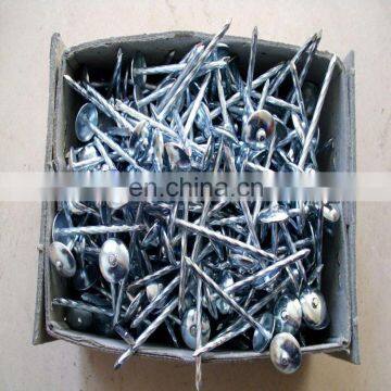 Direct Factory Cheap Galvanized Steel Roofing Nails