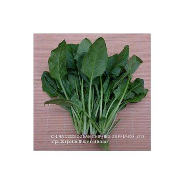 DONGJIAKOU PORT SHIP CHANDLER SHIPCHANDLER IN CHINA photo-3