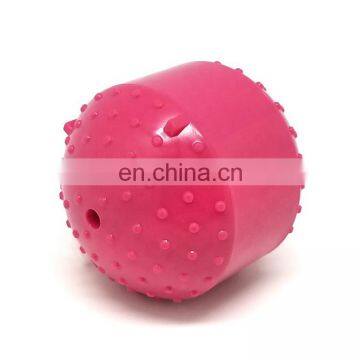 Dog ball toy squeaky toy bouncy ball for dogs