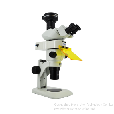 Scientific grade stereo-fluorescence microscope MZX81