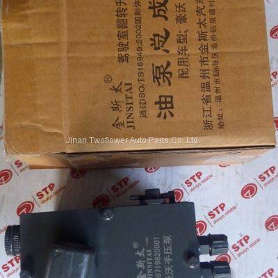 WG9719820001 Cab lift pump copy OEM