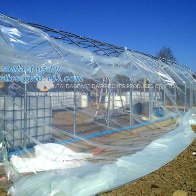 plastic film agriculture greenhouse,6 mil poly anti-uv plastic greenhouse film,Anti-fog UV resistant,mushroom,TOMATO PAC