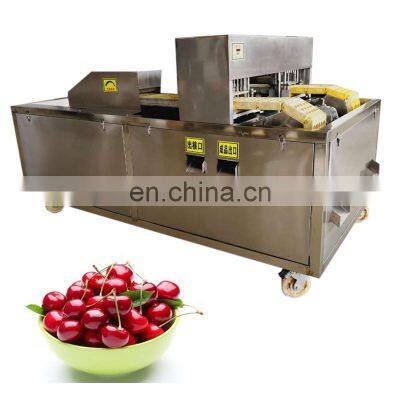 Apple Coring Machine Apple Nucleation Machine