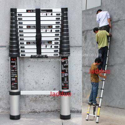 Single Telescopic Ladder