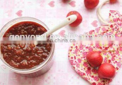 Hawthorn/fruit/ Tomato/ Pineapple Paste /juice / Can/ Jam Machine With Factory Price photo-4