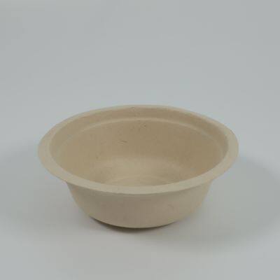 Disposable Biodegradable Bowl photo-3