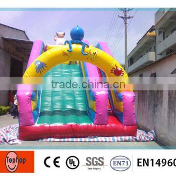 Most Fascinating Inflatable Slide Type Inflatable Double Lane Slip Slide photo-2