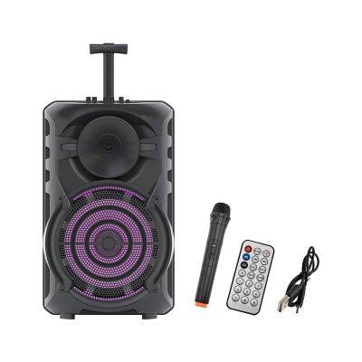 SING-E ZQS15101 15 Inch RGB Light Outdoor Party Stage DJ Wireless MIC Karaoke Woofer Trolley Subwoofer Speaker