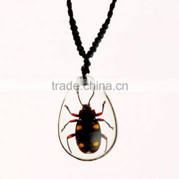 2016 new childrens gifts resin necklace with real insect