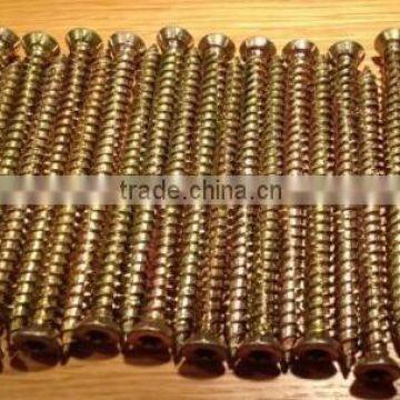 Flat Head Torx Drive Window Screw XL-B21