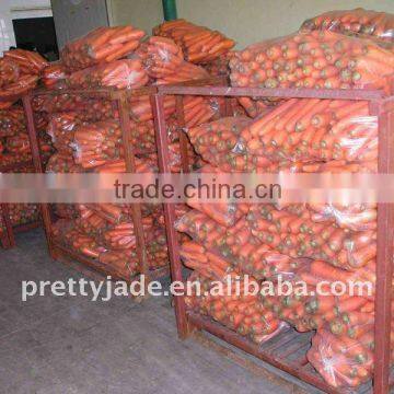 High quality fresh Carrot supplier(80g up)