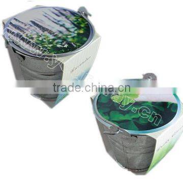 Watering pot herb,Mini herb,Pet plant